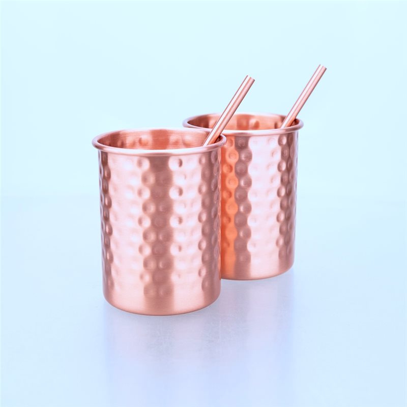 ABLU-2PC 400ml 銅色ステンレス鋼マグカップ ス - Copper Cocktail Mug のレビューと価格